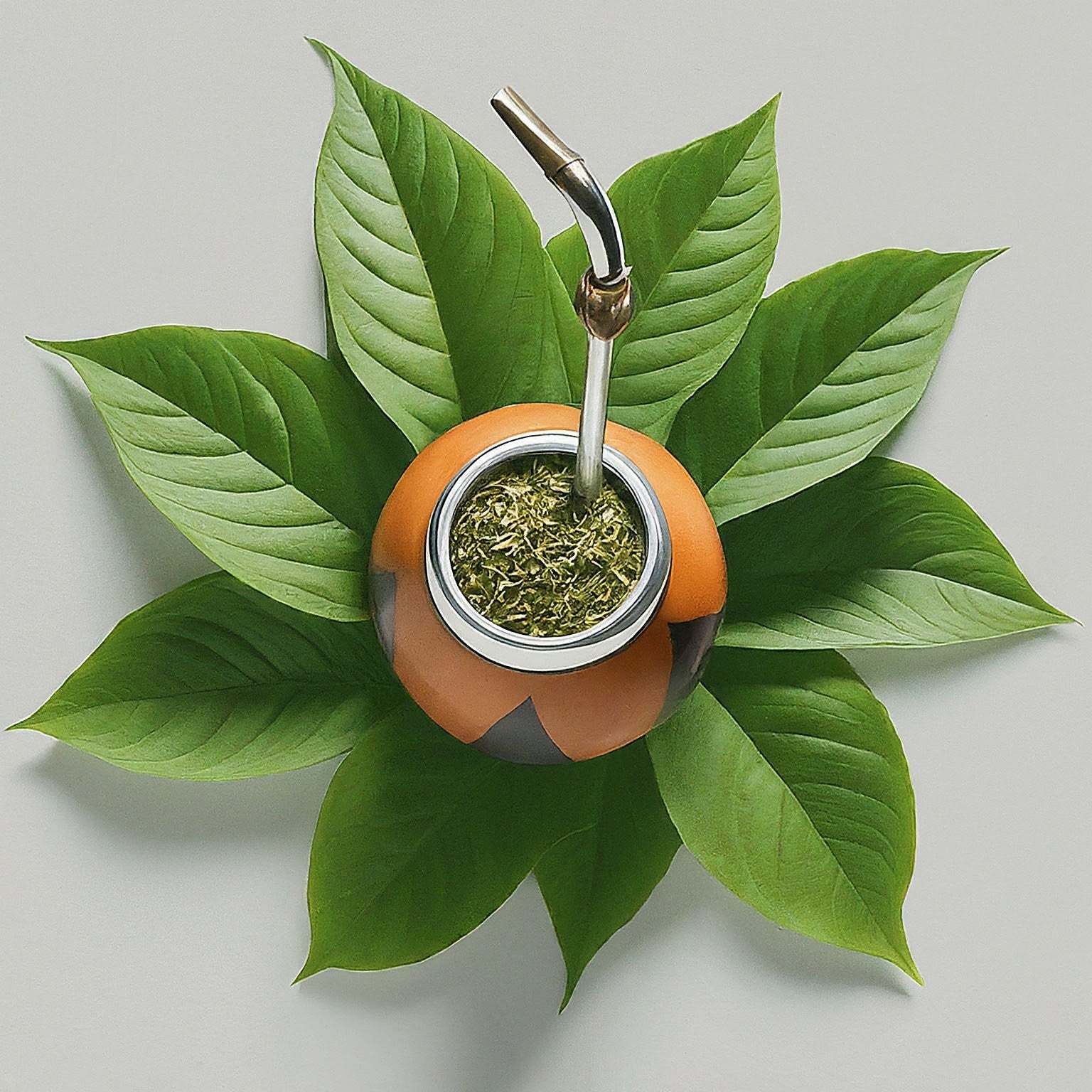 Yerba Mate and accessories a full selection Chimarrao gourds